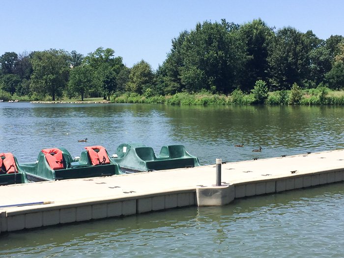 Rent a paddle boat at Forest Park