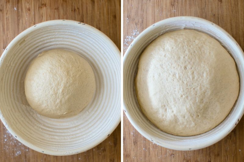 A small dough ball rising into a larger dough ball. 