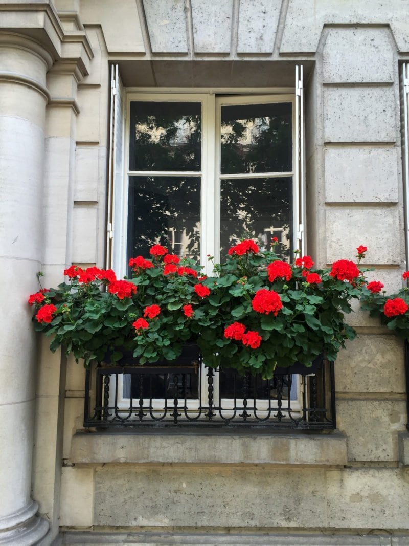 Flower-filled window boxes