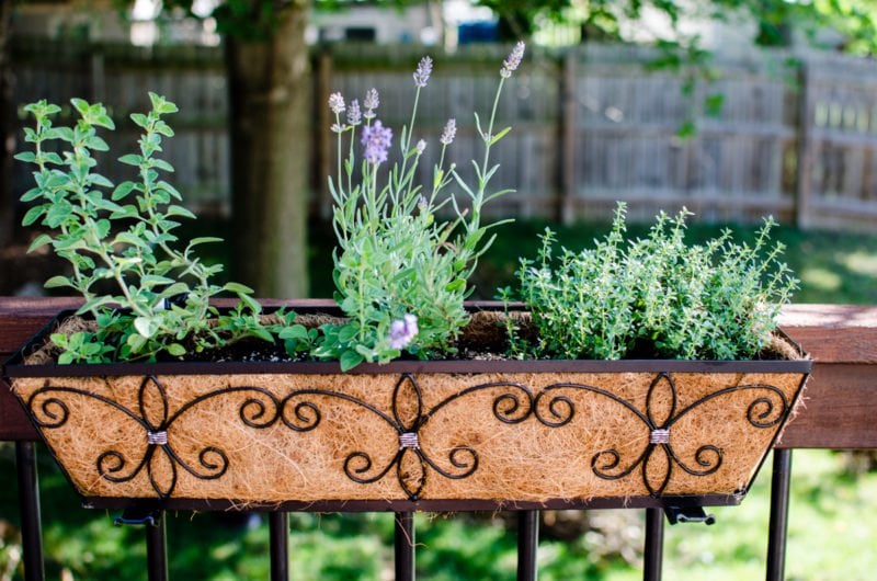 Learn how to keep track of what's in your garden and yard in this DIY tutorial for a home garden journal.