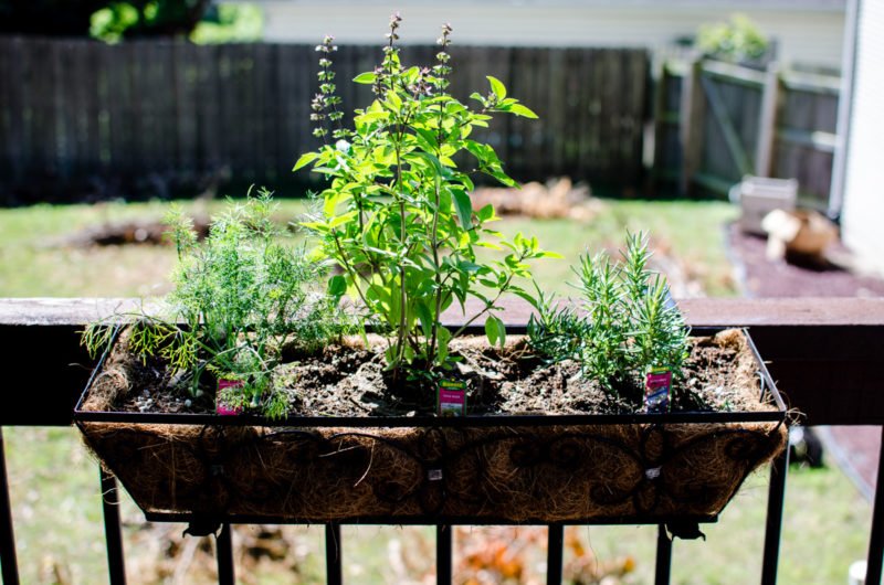 Learn how to keep track of what's in your garden and yard in this DIY tutorial for a home garden journal.