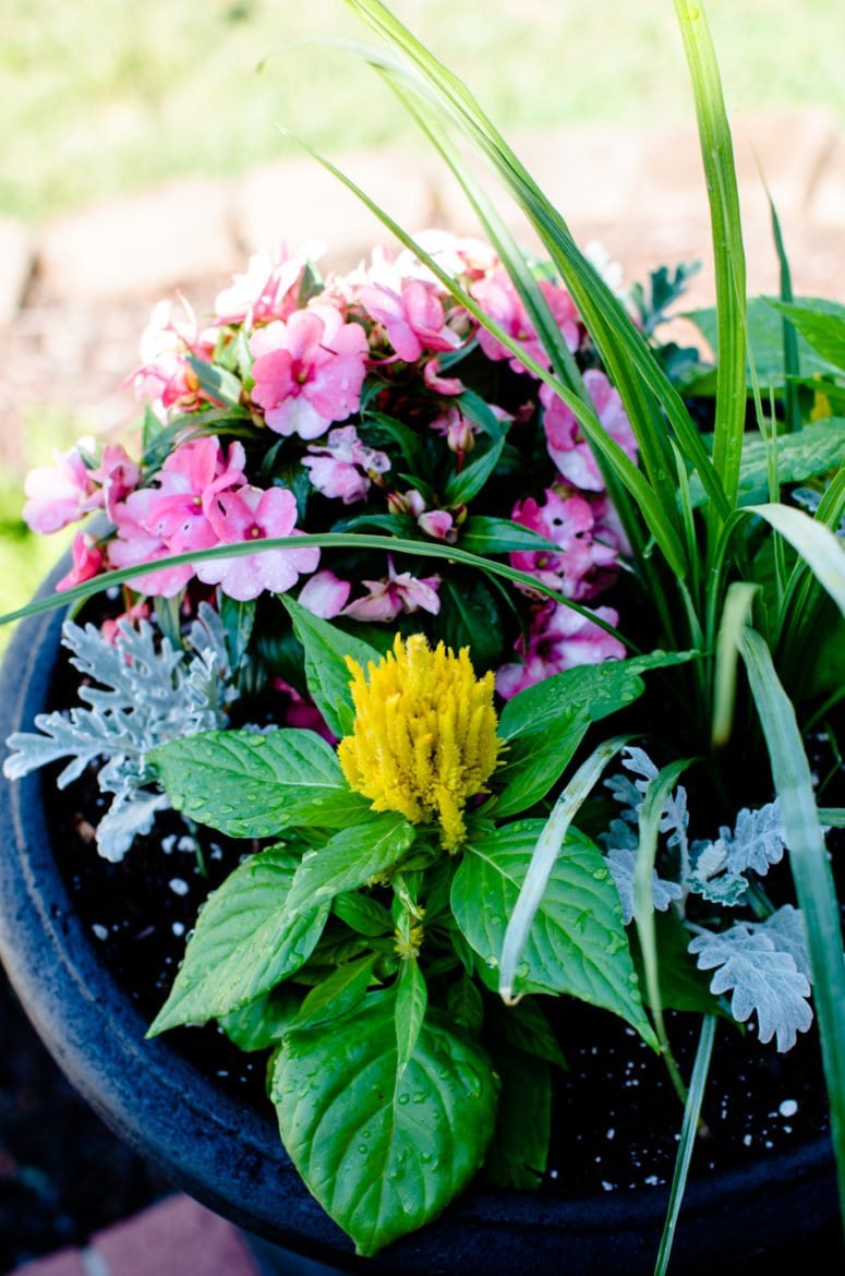 Learn how to keep track of what's in your garden and yard in this DIY tutorial for a garden journal.