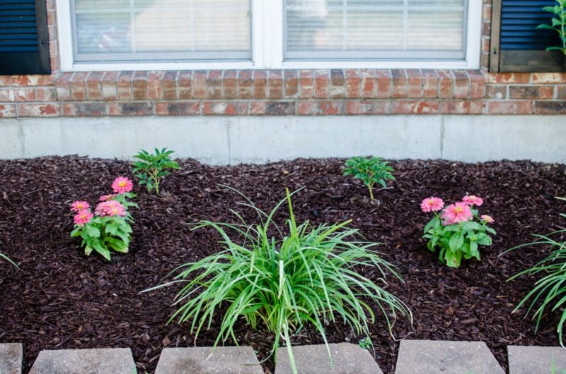 Learn how to keep track of what's in your garden and yard in this DIY tutorial for a home garden journal.