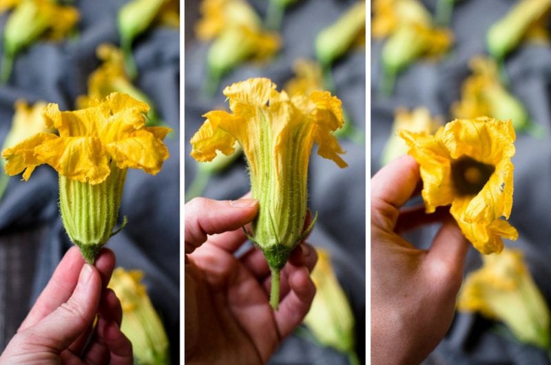 A collage of pictures of a squash blossom to show the outside and inside. 