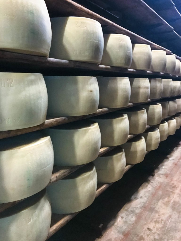 Rounds of Parmesan cheese dry aging on wooden shelves. 