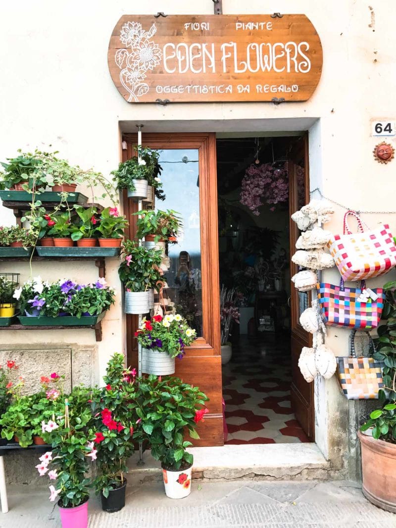 A photo journal from two of my favorite day trips from Florence, Italy - the quaint and adorable villages of Pienza, Montalcino, and Masa Maritima.