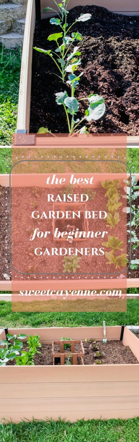 This guide to gardening for beginners features an easy-to-build raised garden bed from Costco! No tools are required to put the bed together and there is a compartment for making your own compost! #ad #sweetcayenne