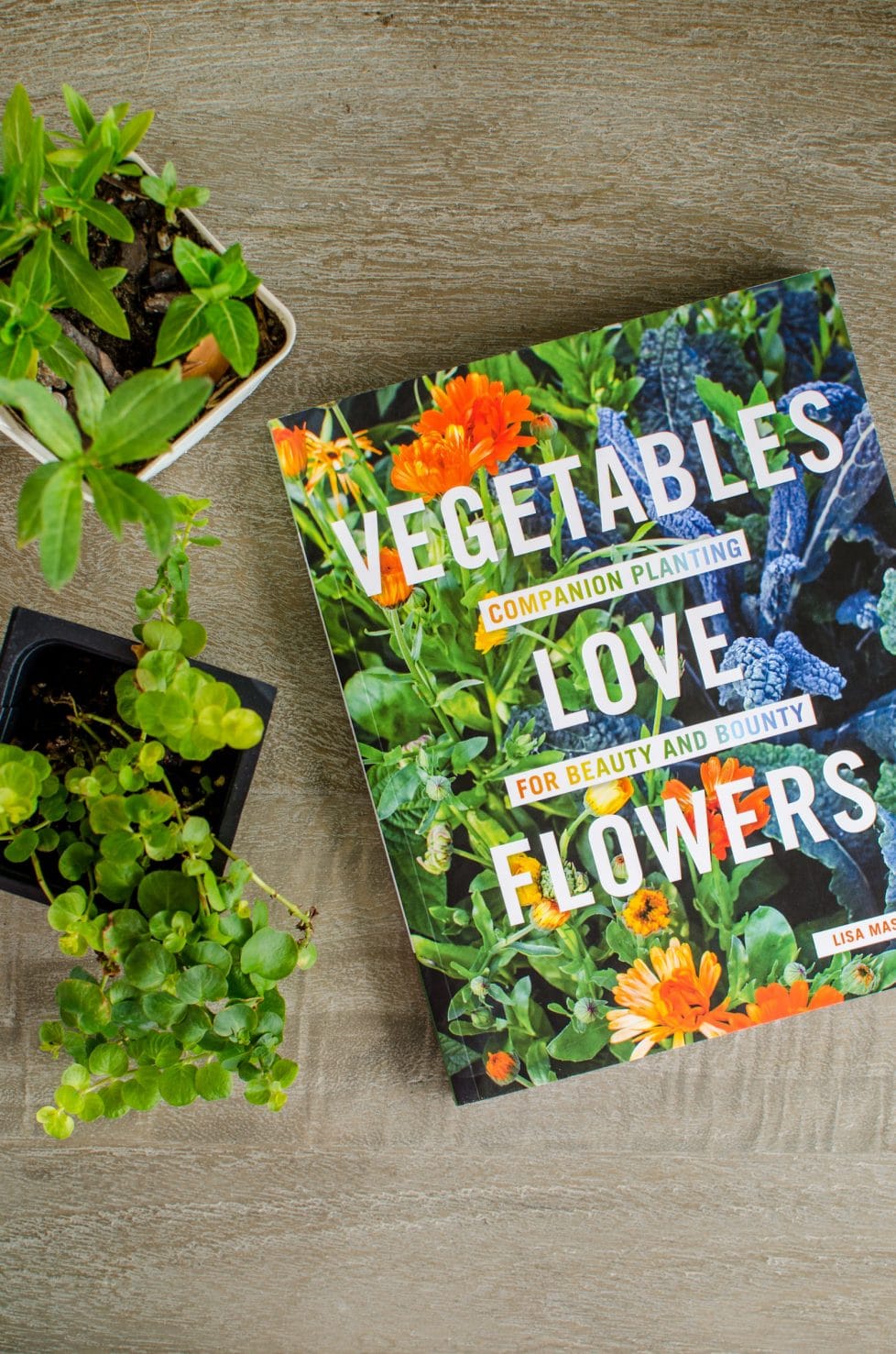 A from-above shot of the book "Vegetables Love Flowers" with two green flower transplants on the side.