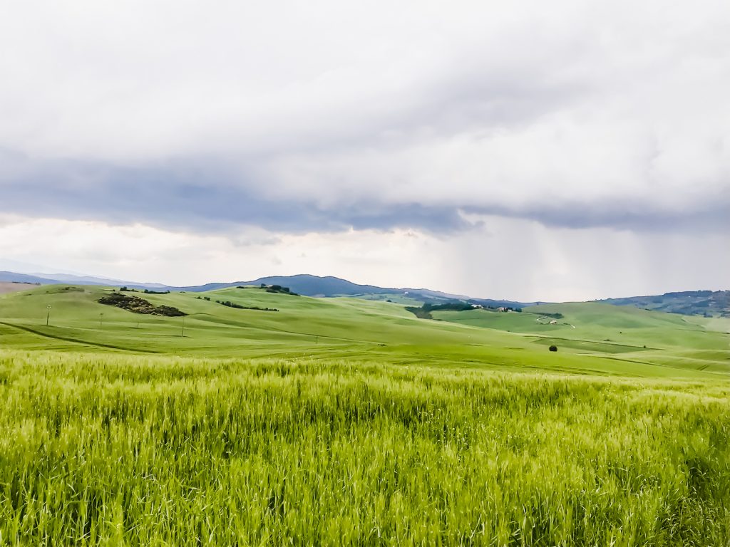 A photo of a field and rolling hills with an overcast sky in the Tuscan countryside. 