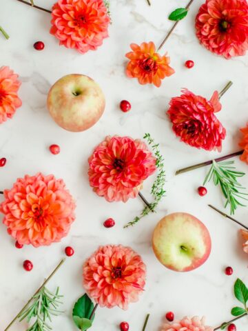 Dahlia flowers laid on a white counter top with apples, rosemary, and fresh cranberries.