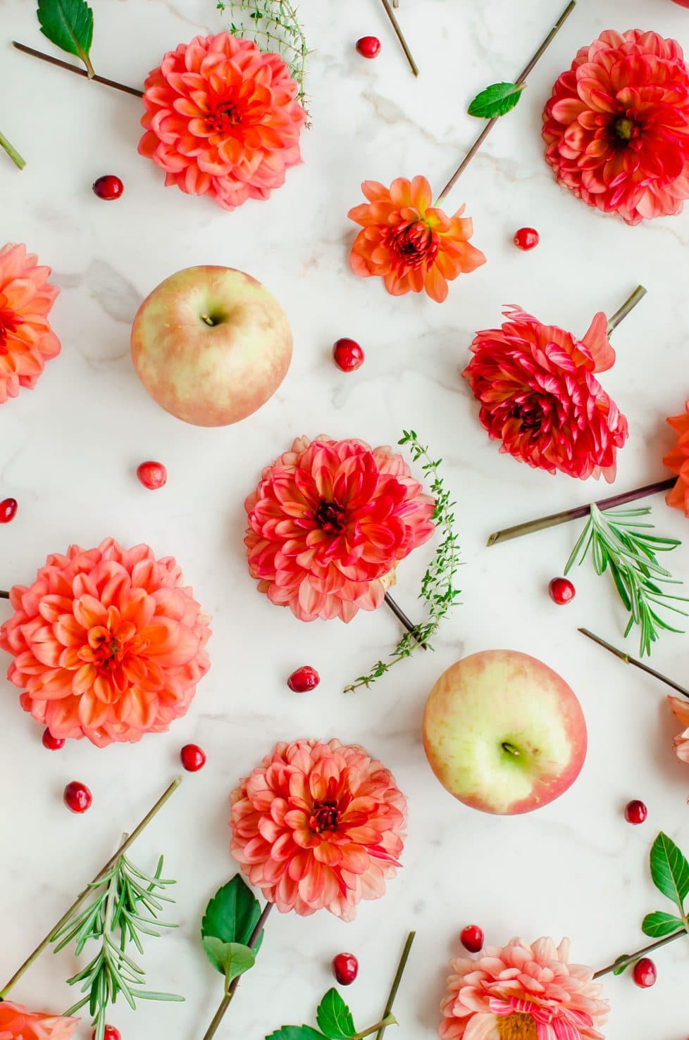 Dahlia flowers laid on a white counter top with apples, rosemary, and fresh cranberries. 