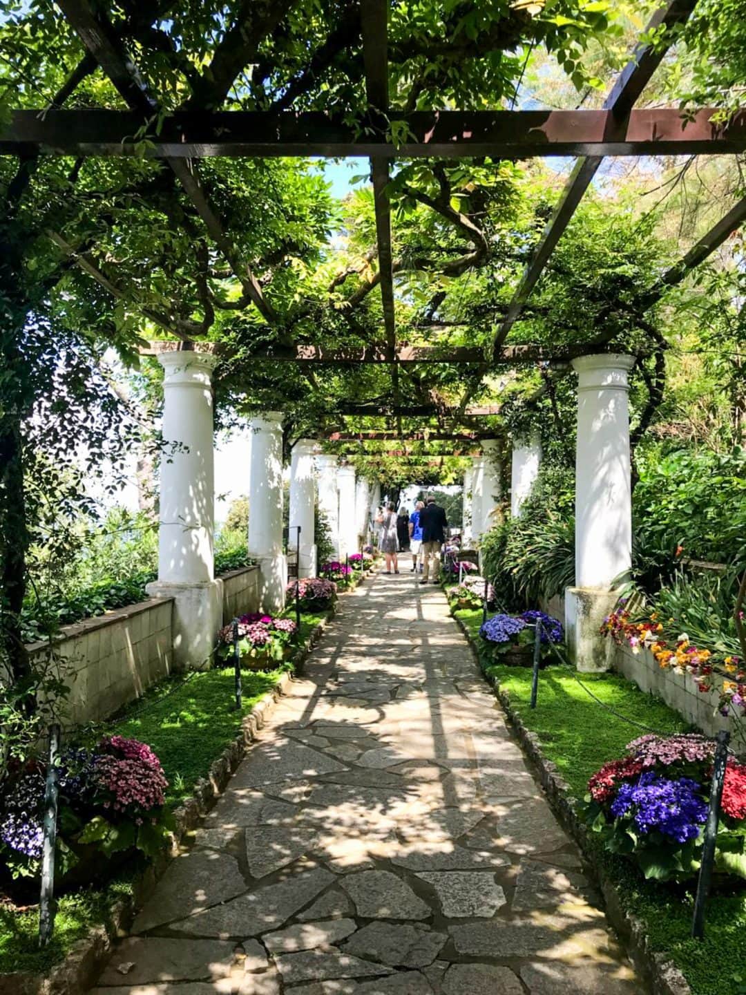 A beautiful garden path. 