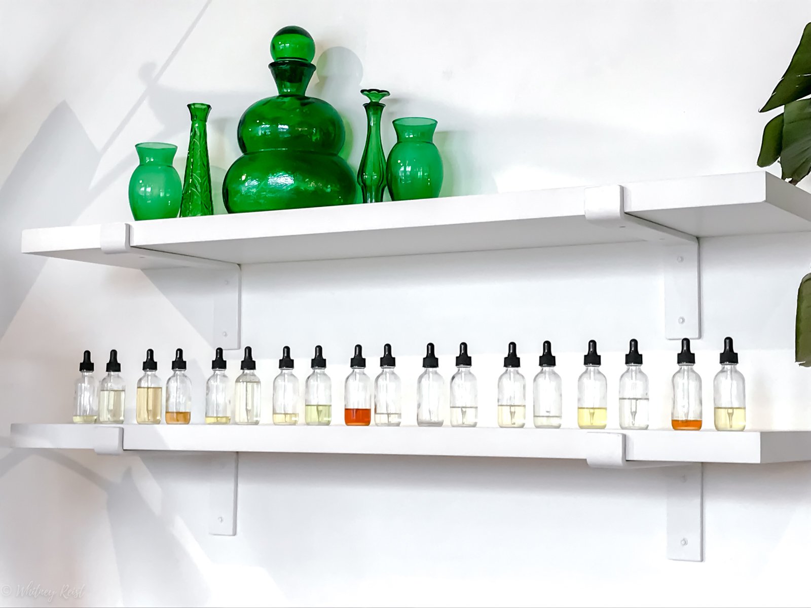 A white wall with a shelf of various facial oils and serums at Lemon Laine Oil Bar in Nashville, TN. 