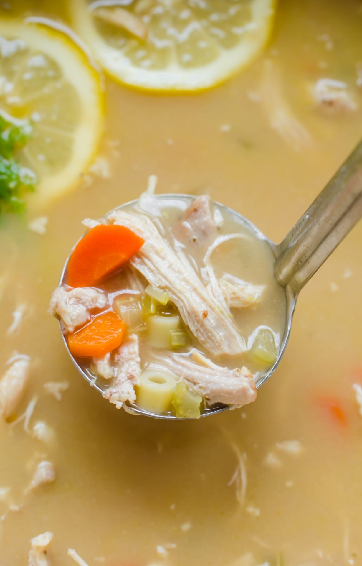 A ladle in a pot of lemon chicken noodle soup.