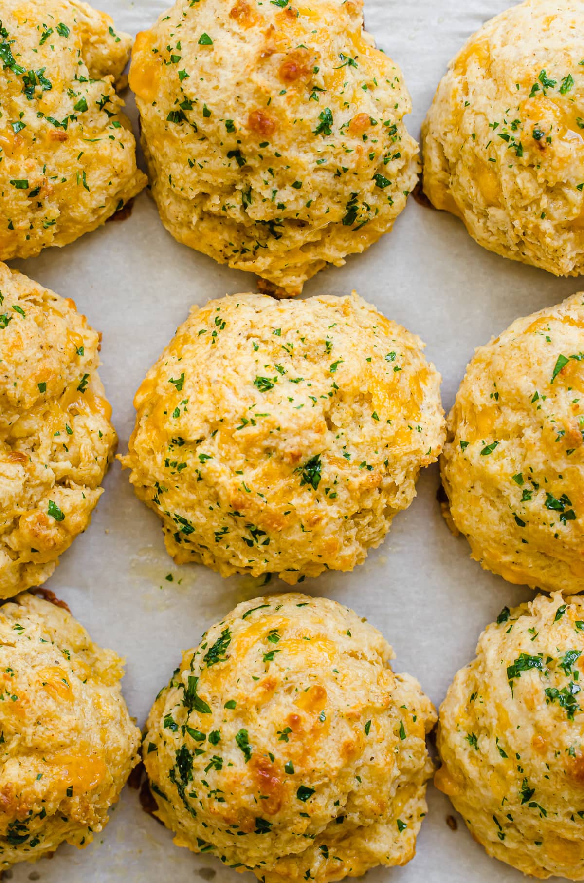 A close-up shot of cheddar bay biscuits on a baking sheet lined with parchment paper.